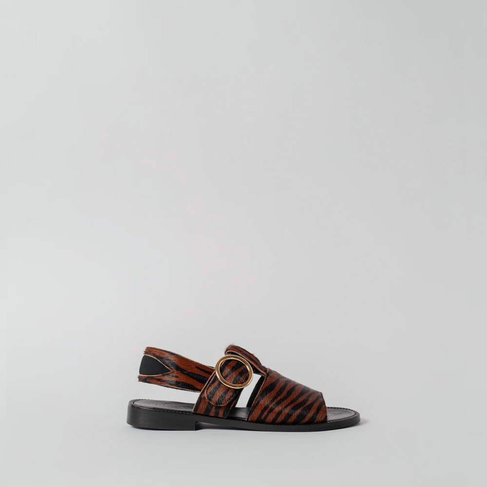 THE PALERMO RUST ZEBRA