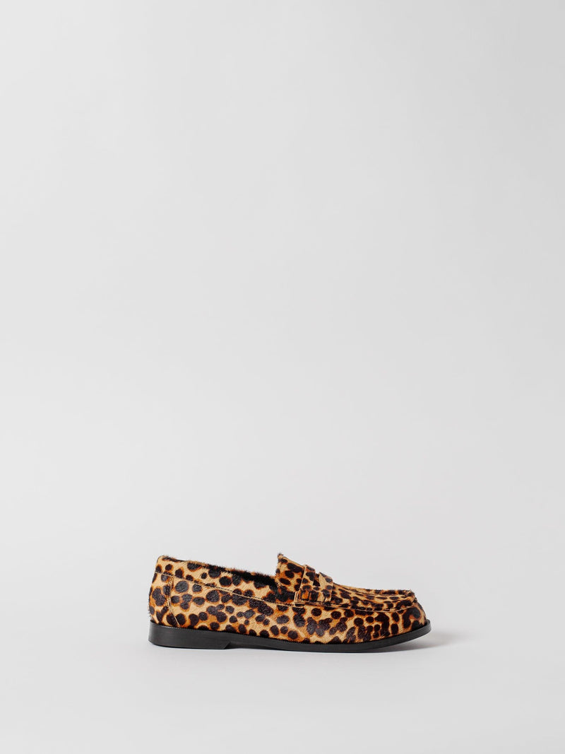 Blankens The Celeste Leopard